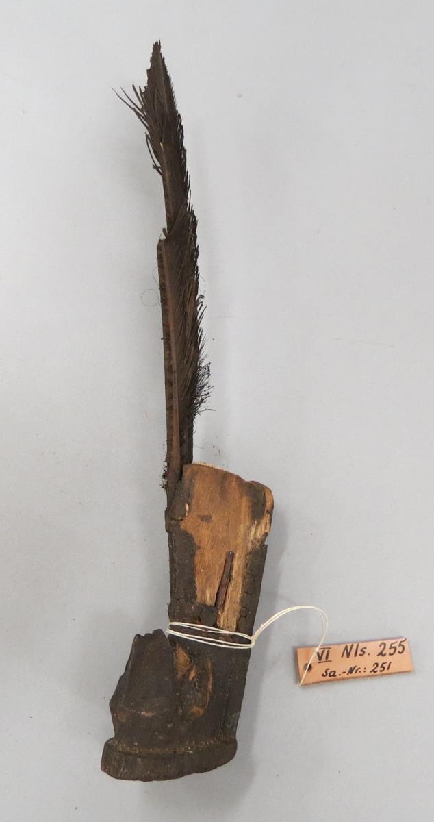 VI Nls 255