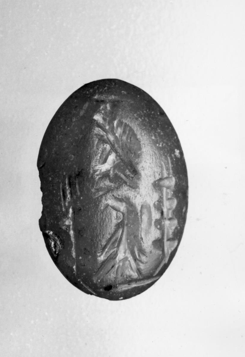 Karneol