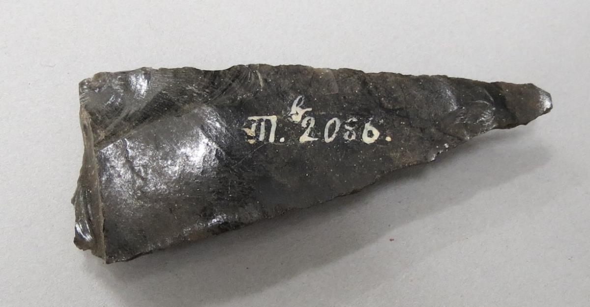 VII B 2086