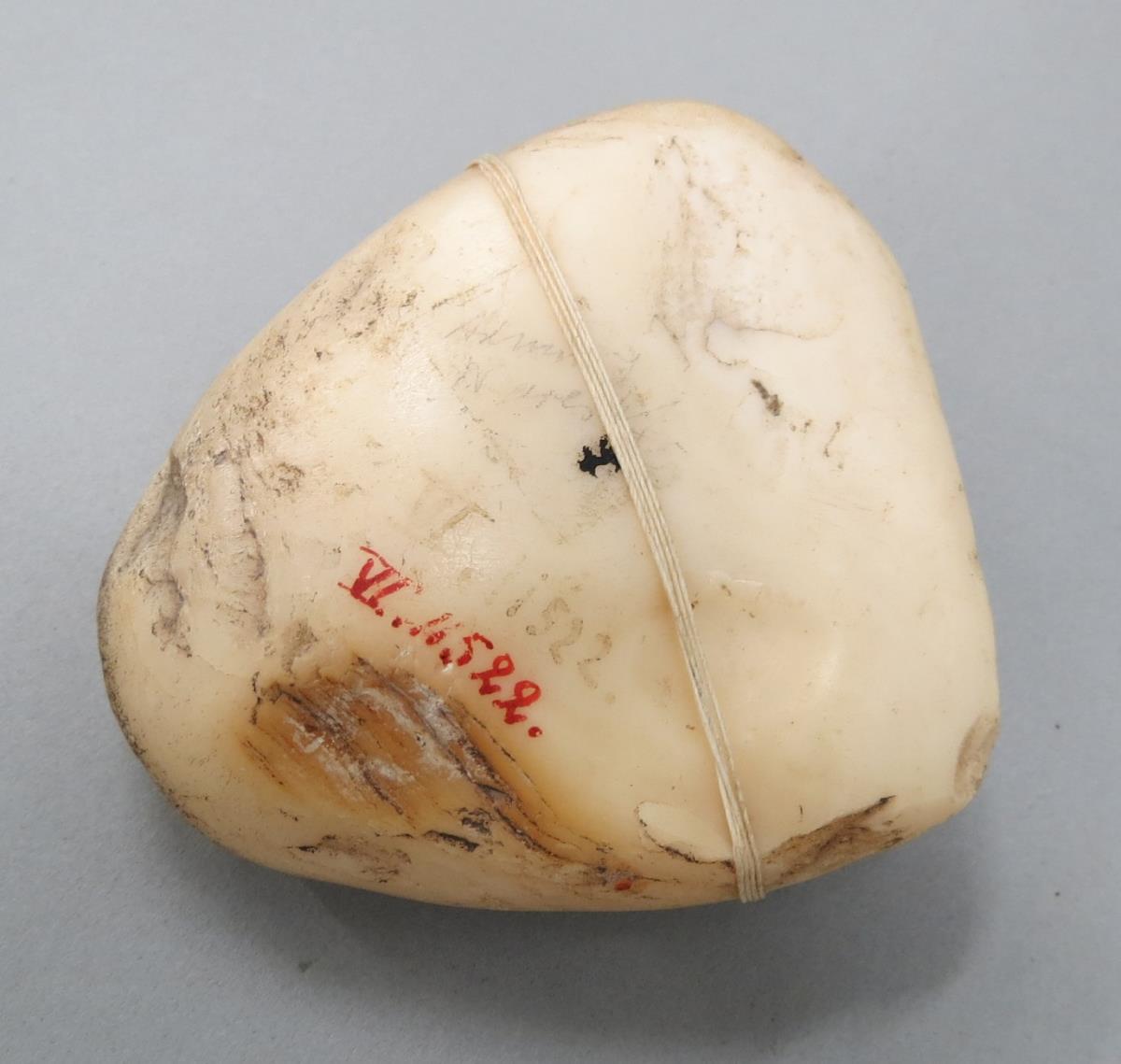 VI 11522