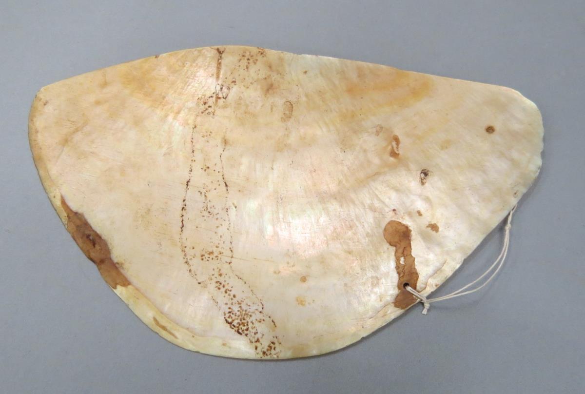 VI 17927 b
