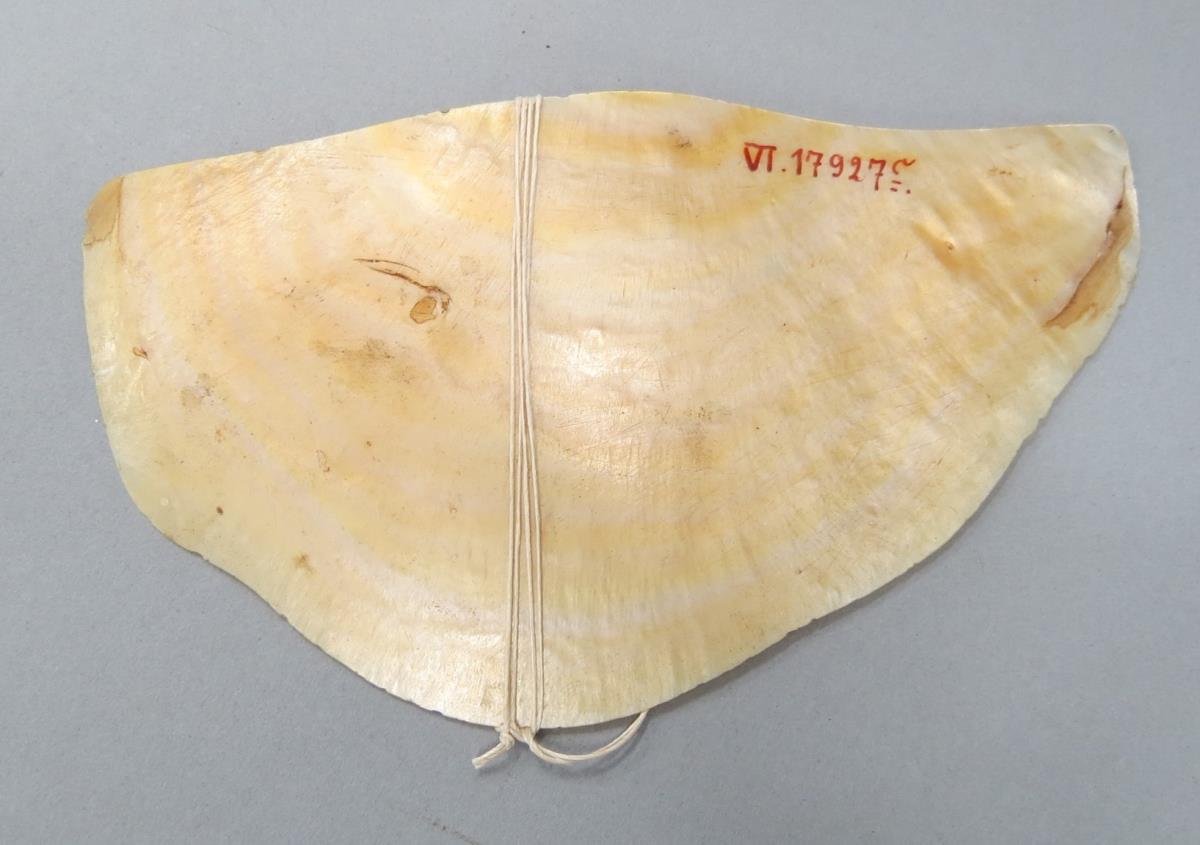 VI 17927 c