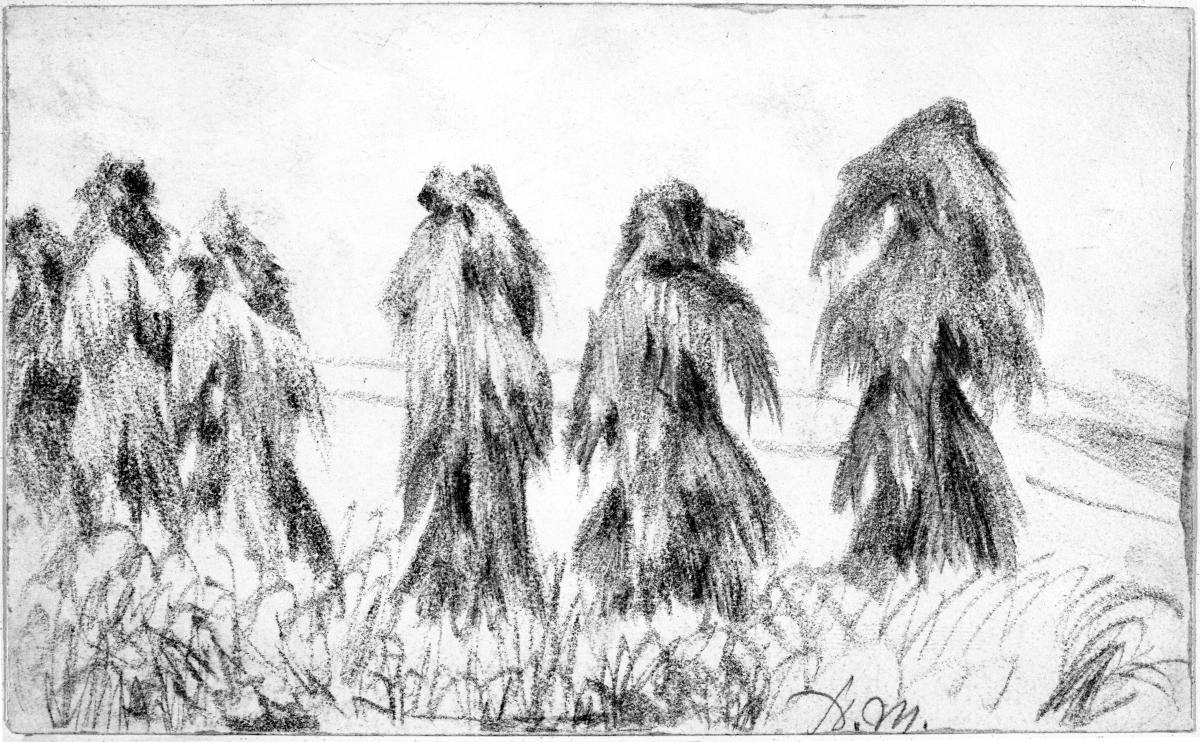 Sechs Garben auf dem Feld