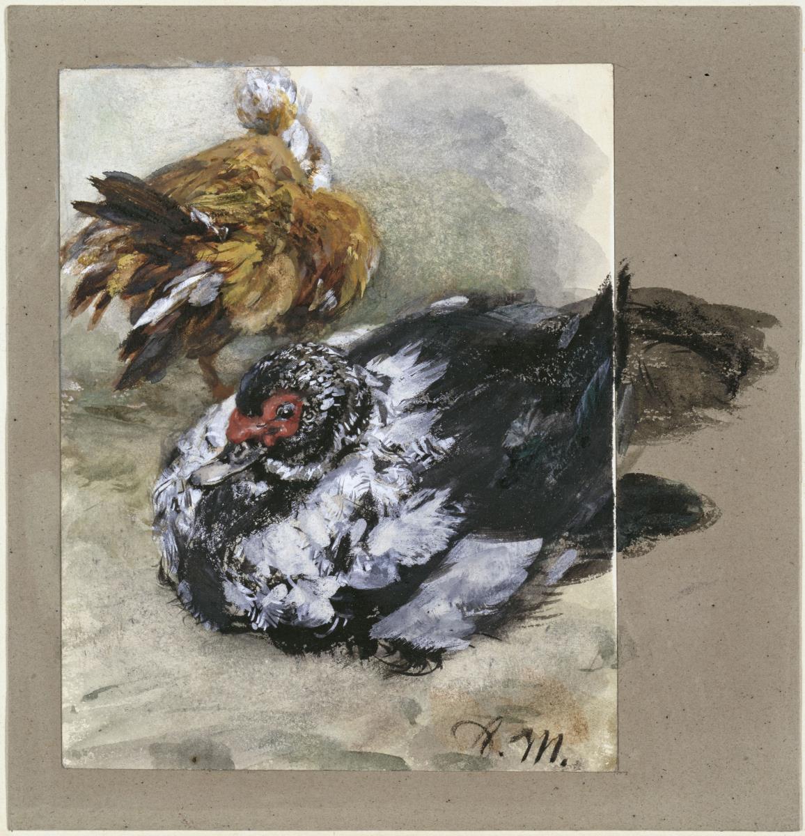 Zwei Türkische Enten. Aus dem "Kinderalbum"