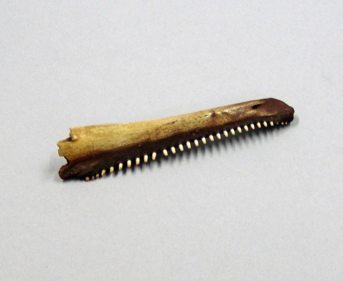 V C 2121
