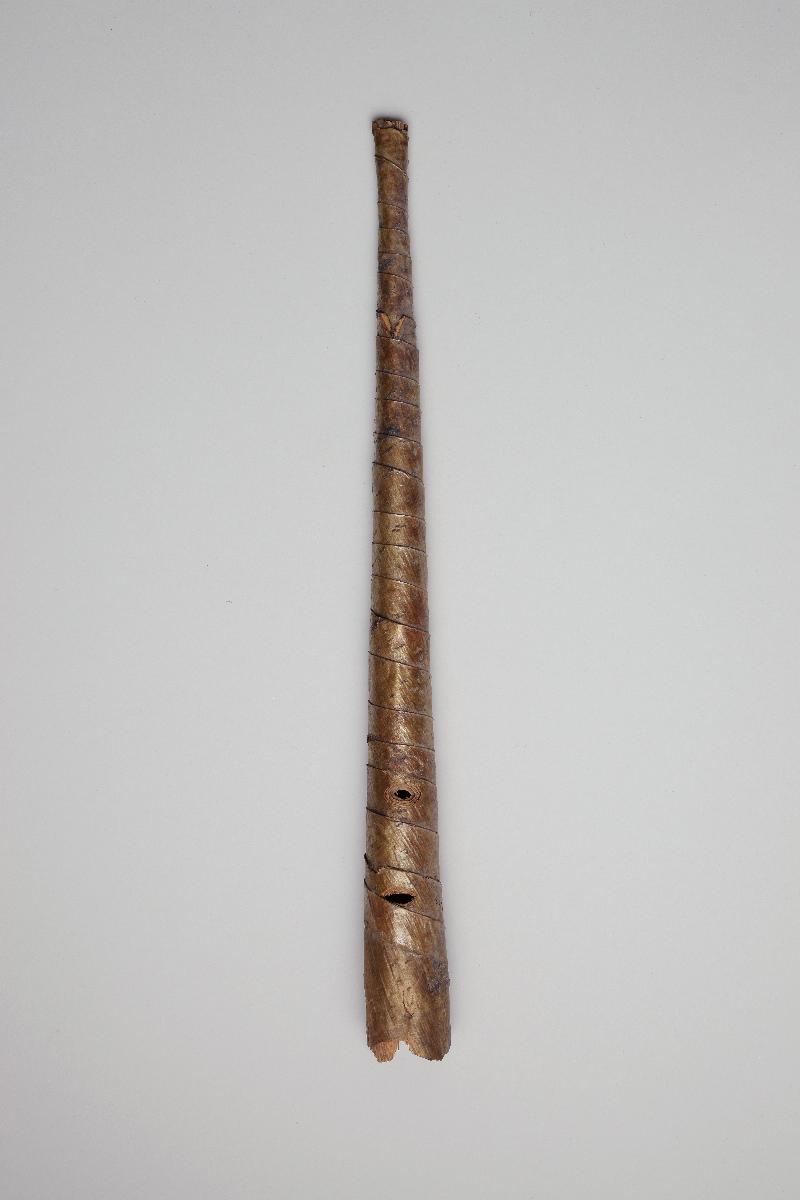 VII Nls 1119