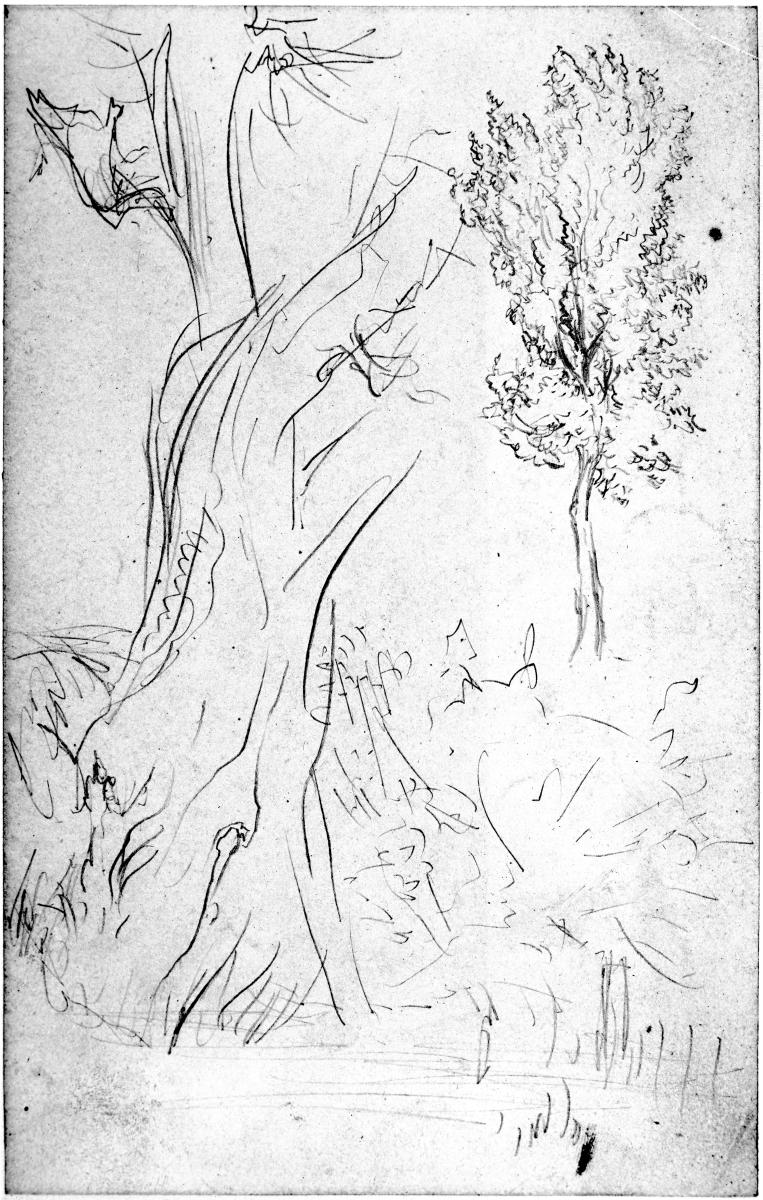 Landschaft mit zwei Bäumen (zu Bock 1145)