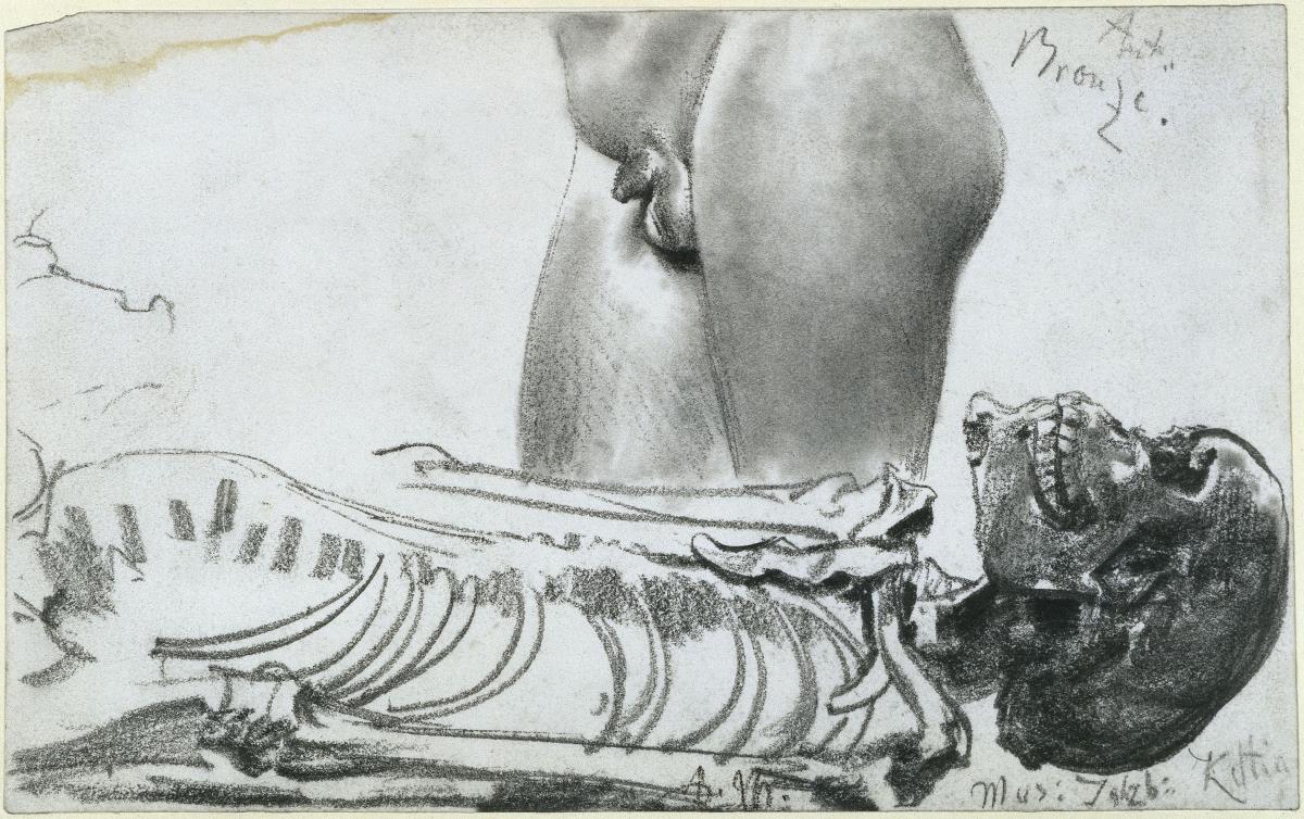 Skelett einer Keltin und Detail einer Statue im Salzburger Museum
