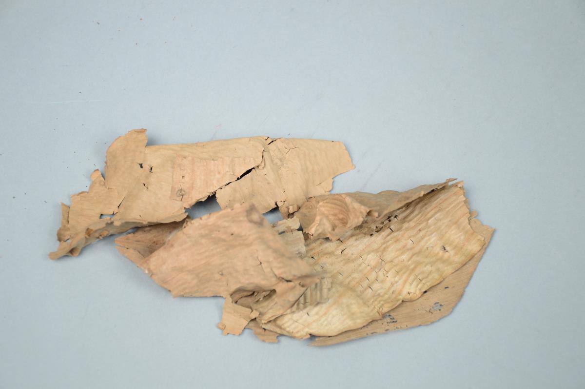 III C 27439 a,b