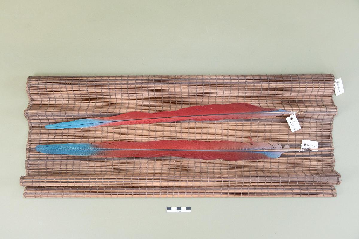 V B 2357 a,b