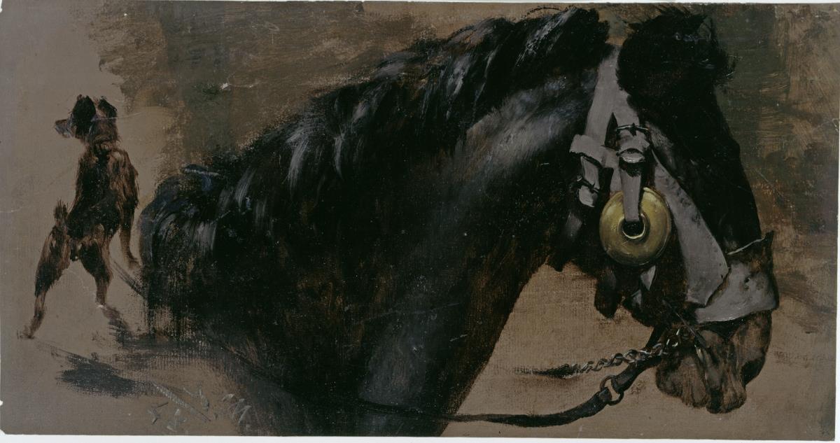 Kopf eines Pferdes und Hund