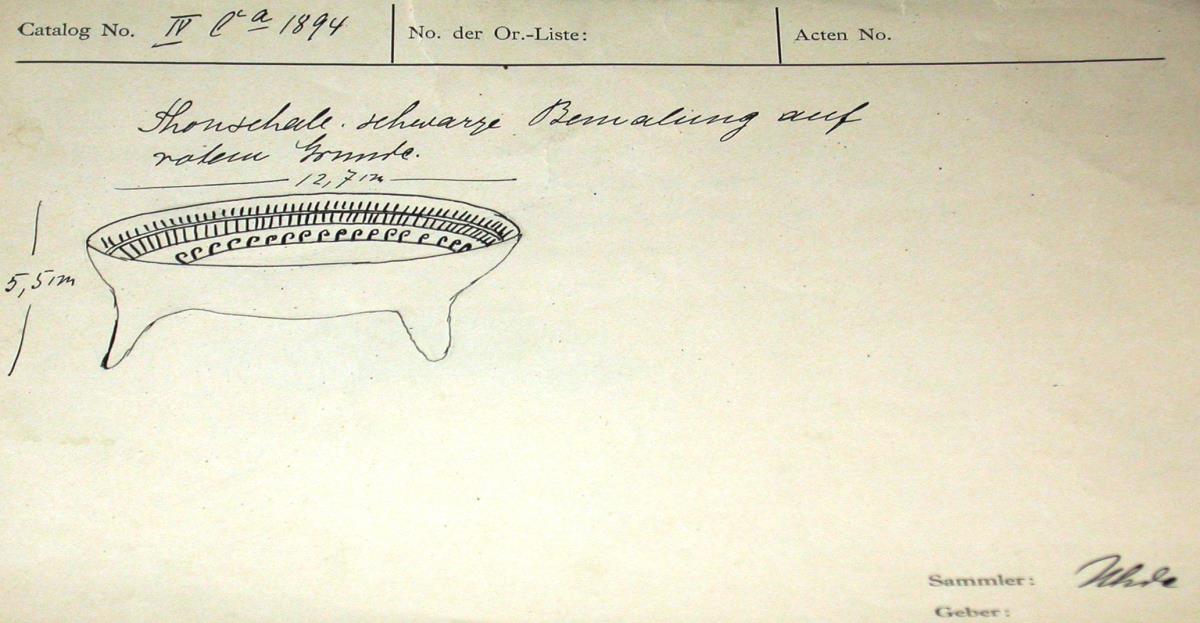 IV Ca 1894