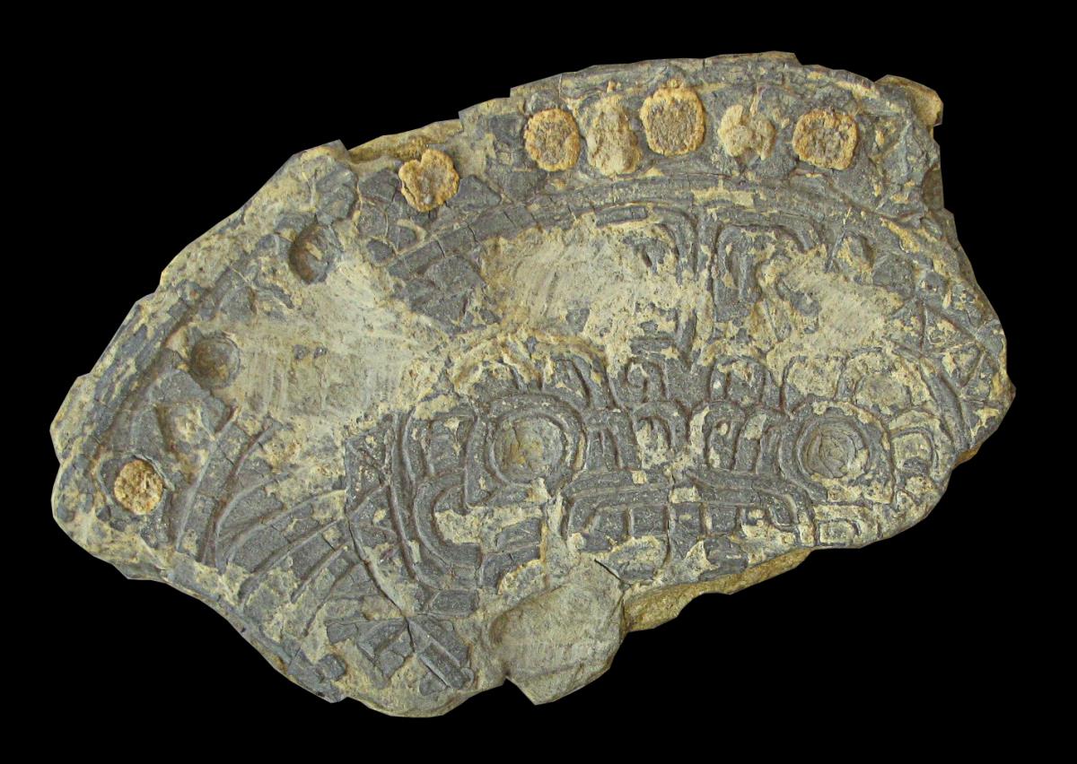 IV Ca 35622
