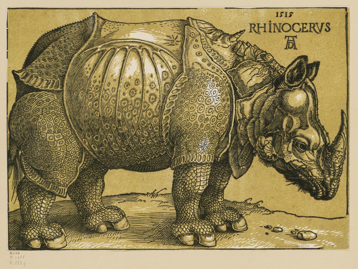Das Rhinozeros