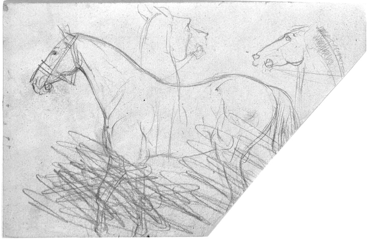 Pferd mit Halfter, zwei Pferdeköpfe