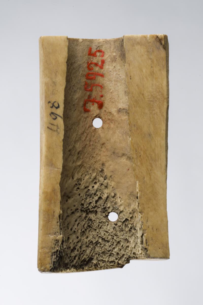 I. 5925