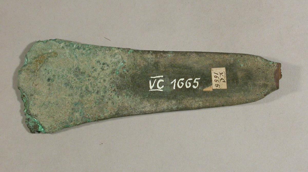 V C 1665