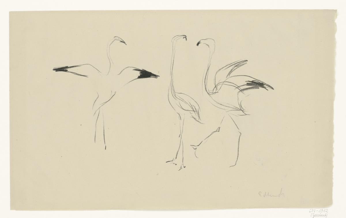 Drei Flamingos