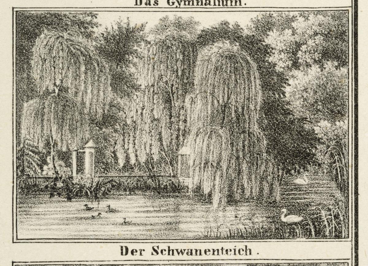 Ansicht von Stettin