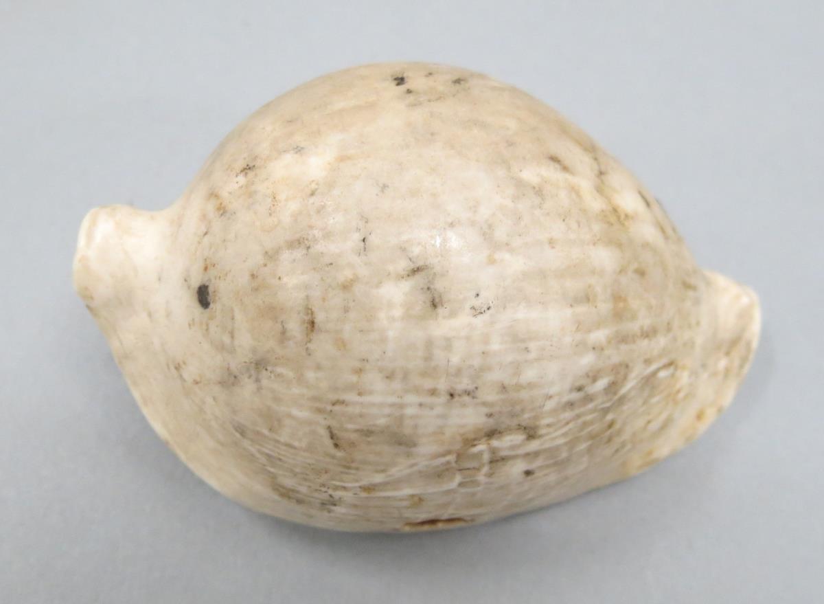 VI 3789 ee