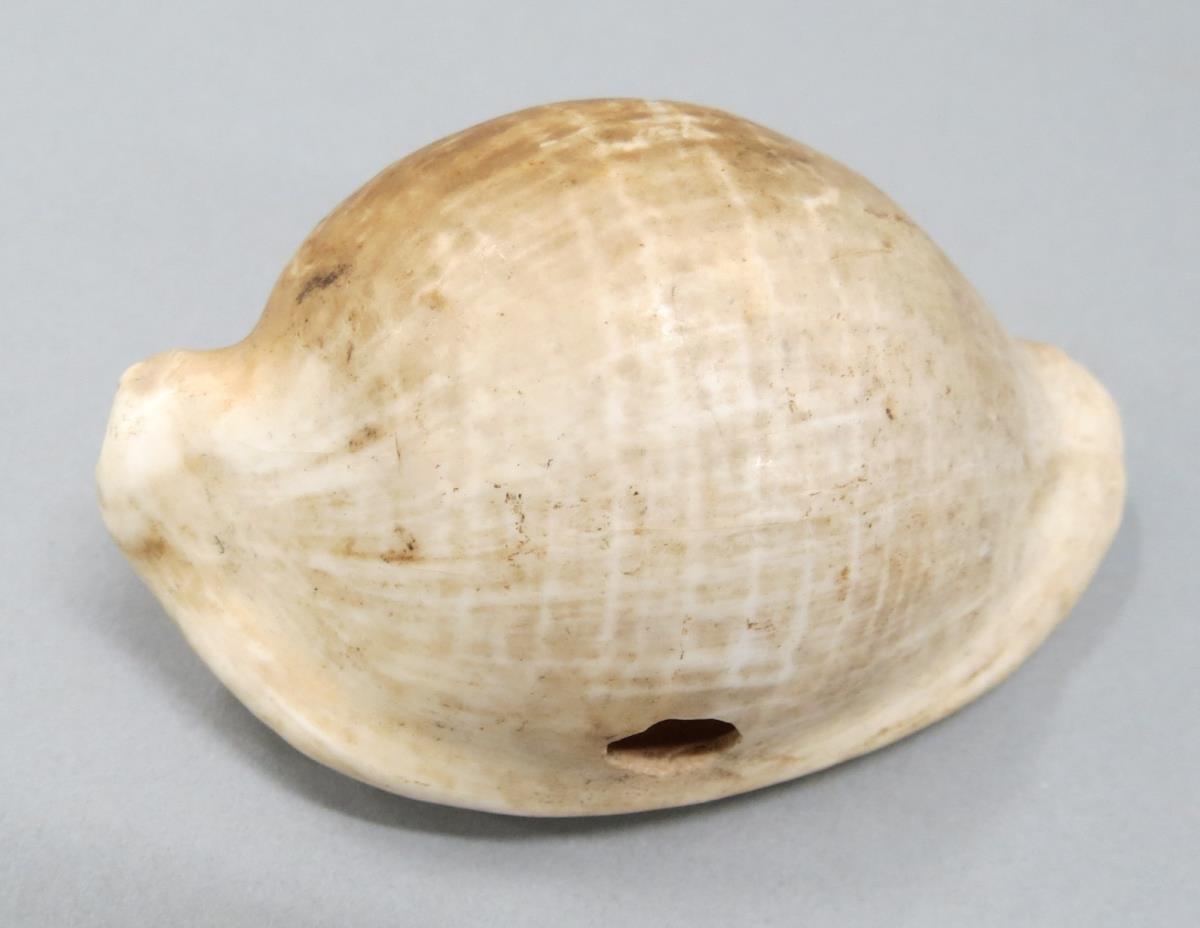 VI 3789 v