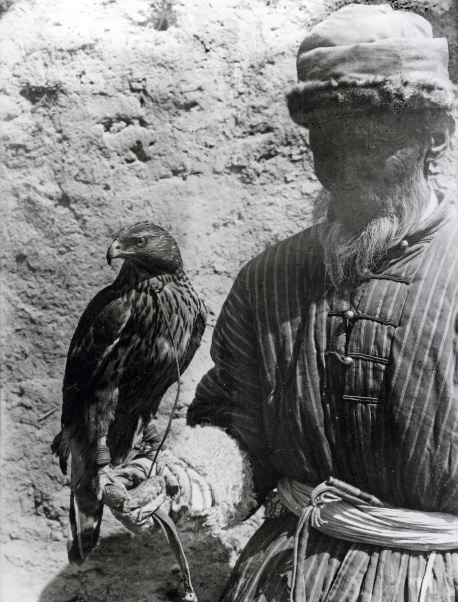 Falkner mit Adler