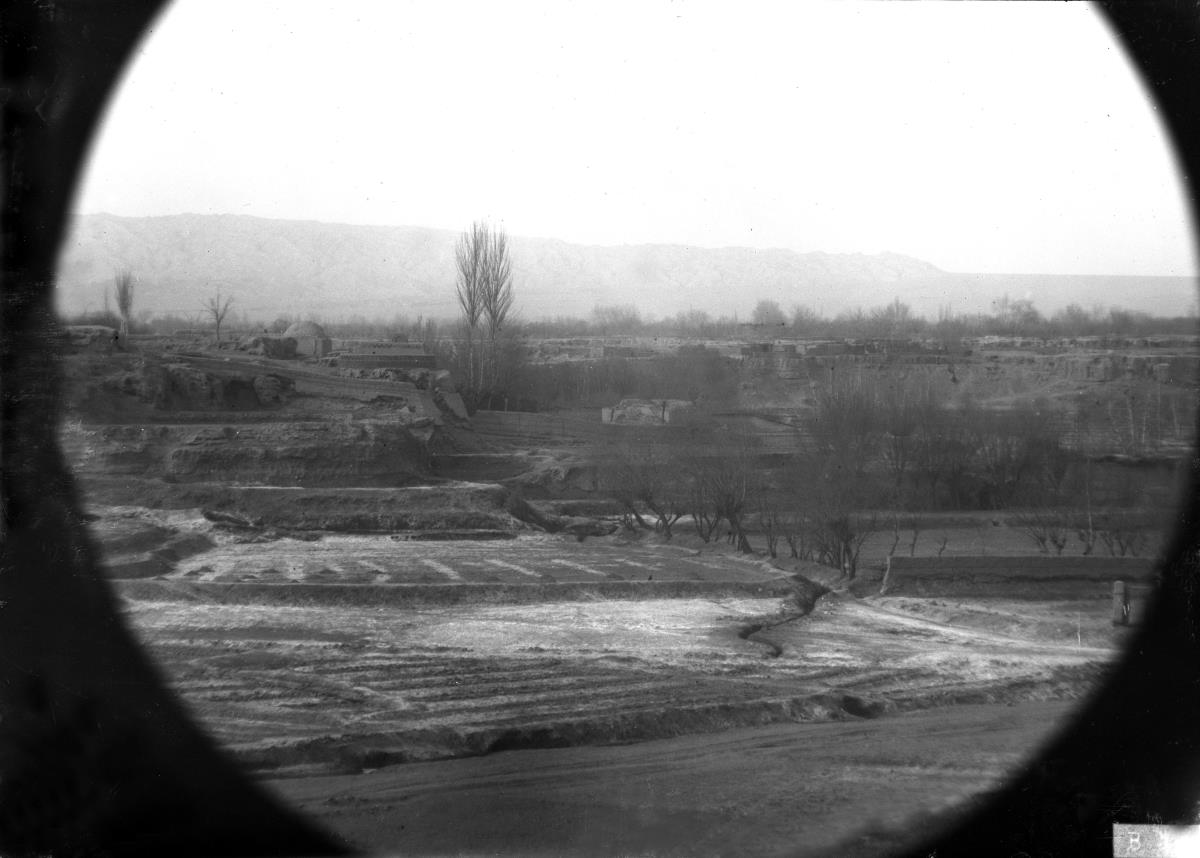 Panorama