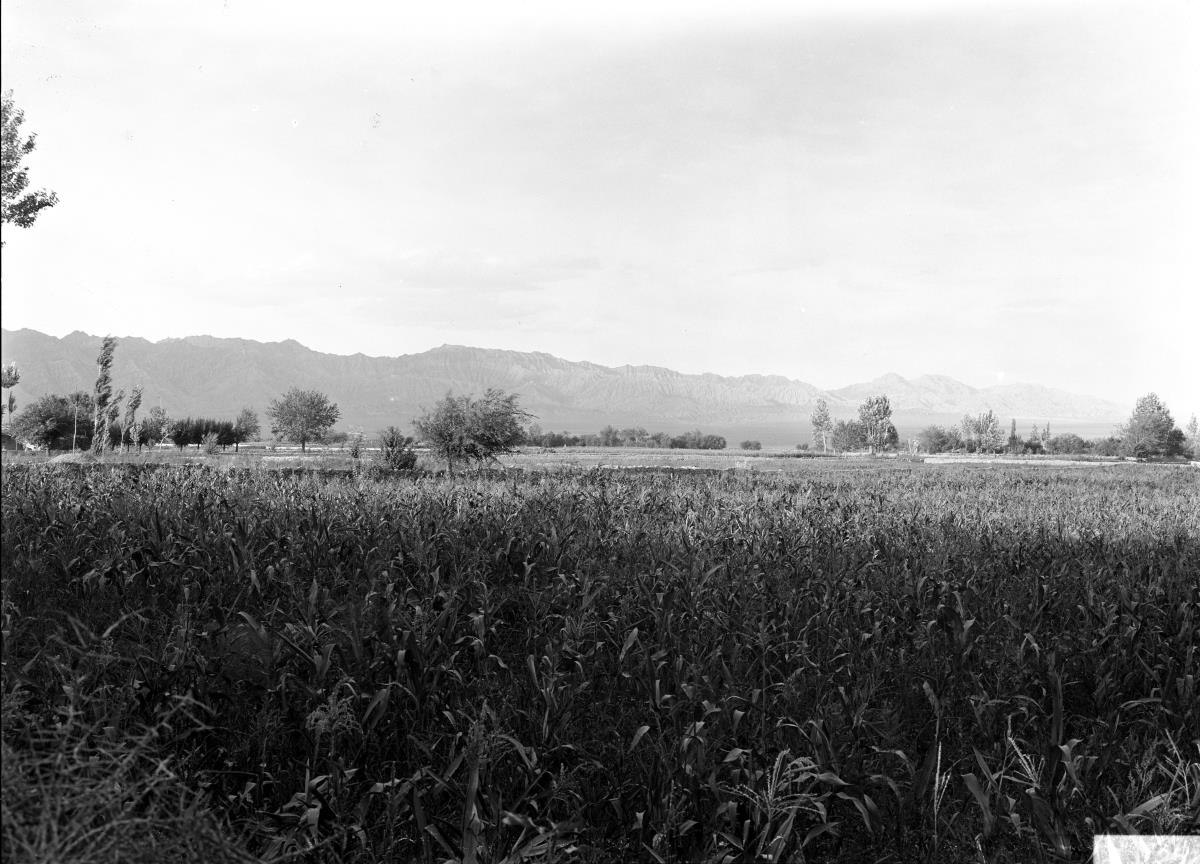 Panorama