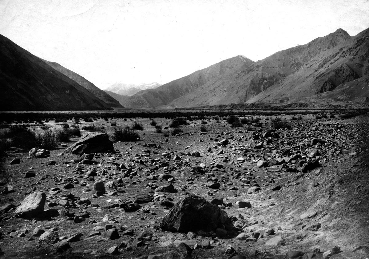 Panorama