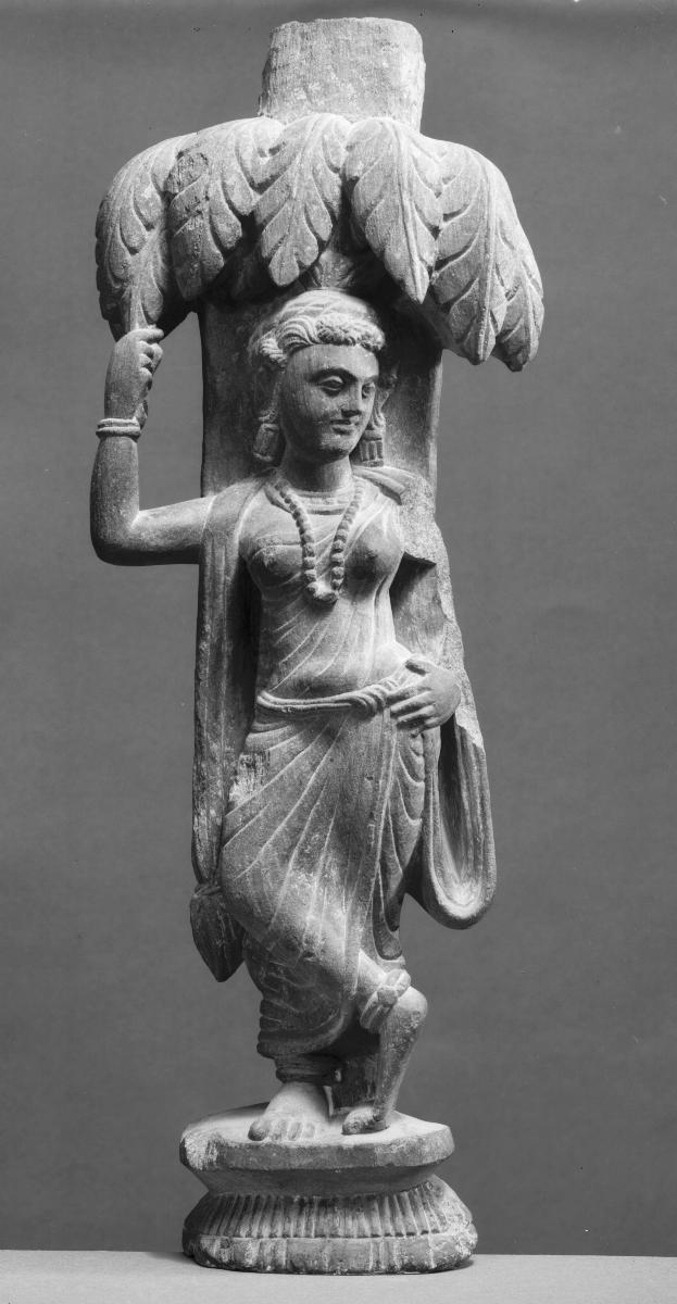 Frau, in Baumkrone greifend (Yakshi/Shalabhanjika)