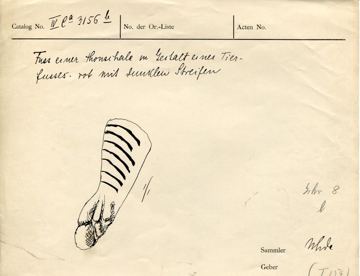 IV Ca 3156 b