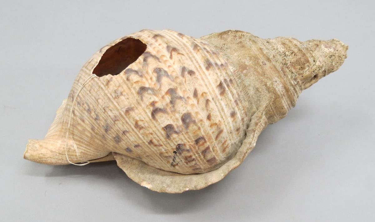 VI 1764 a