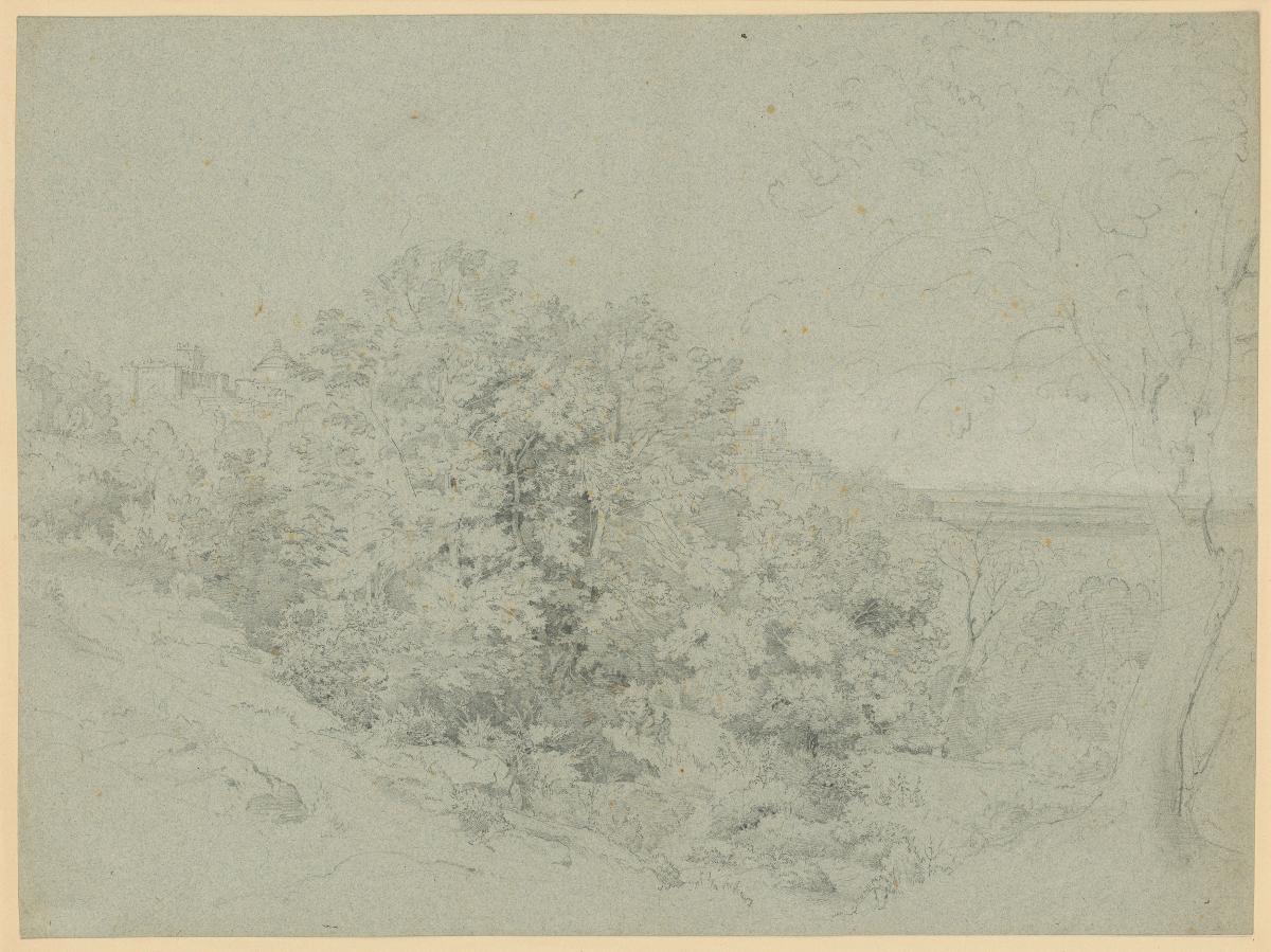 Waldlandschaft mit Durchblicken auf Gebäude