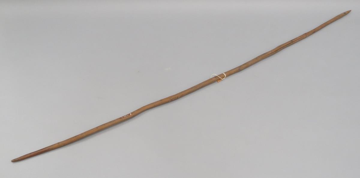 VI 12831 b
