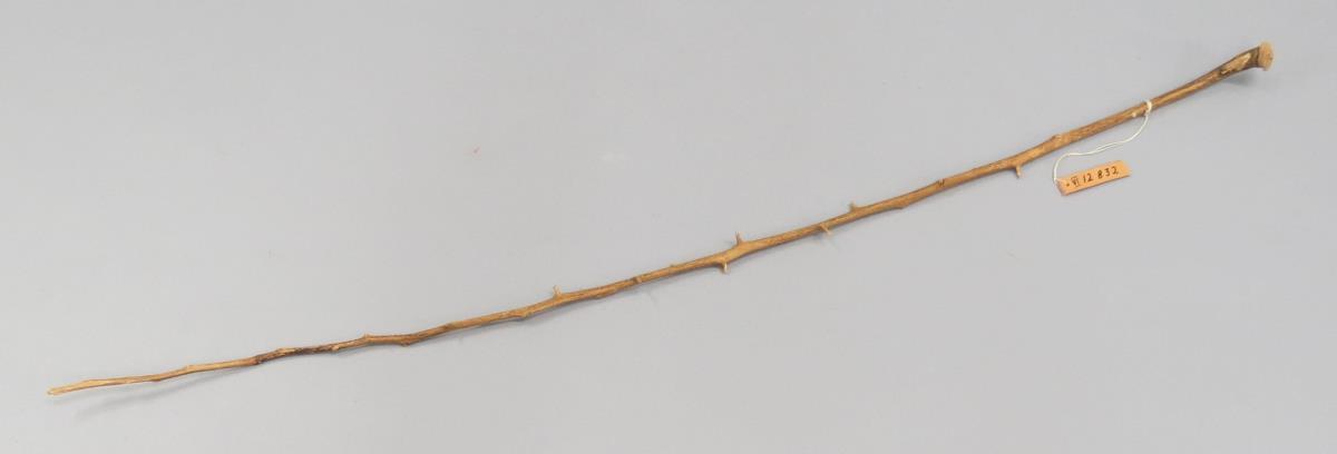 VI 12832