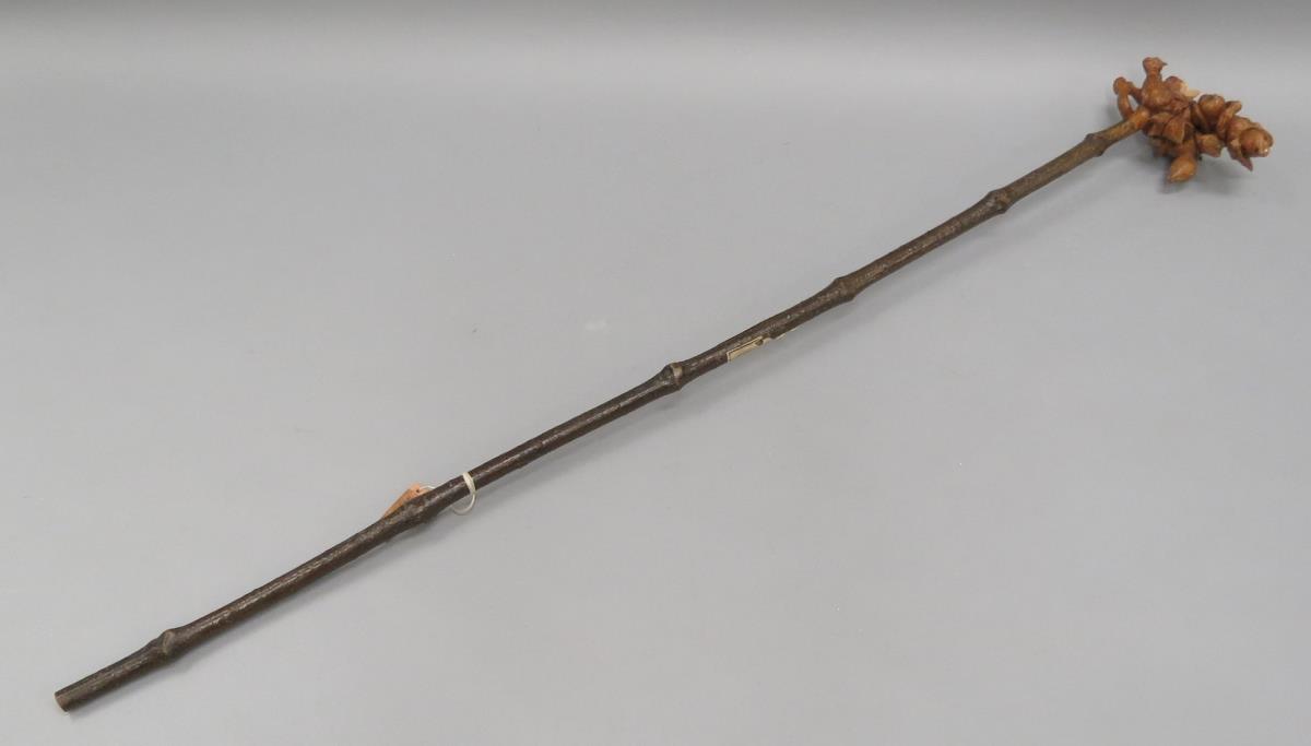 VI 1850