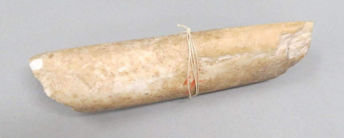 VI Nls 356