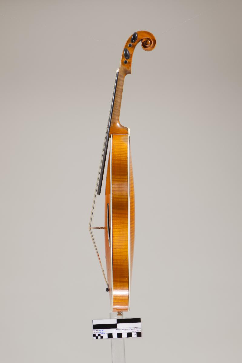Violine
