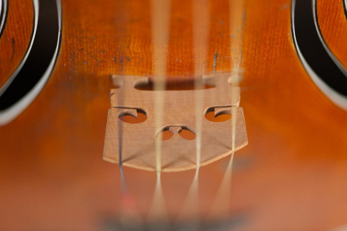 Violine