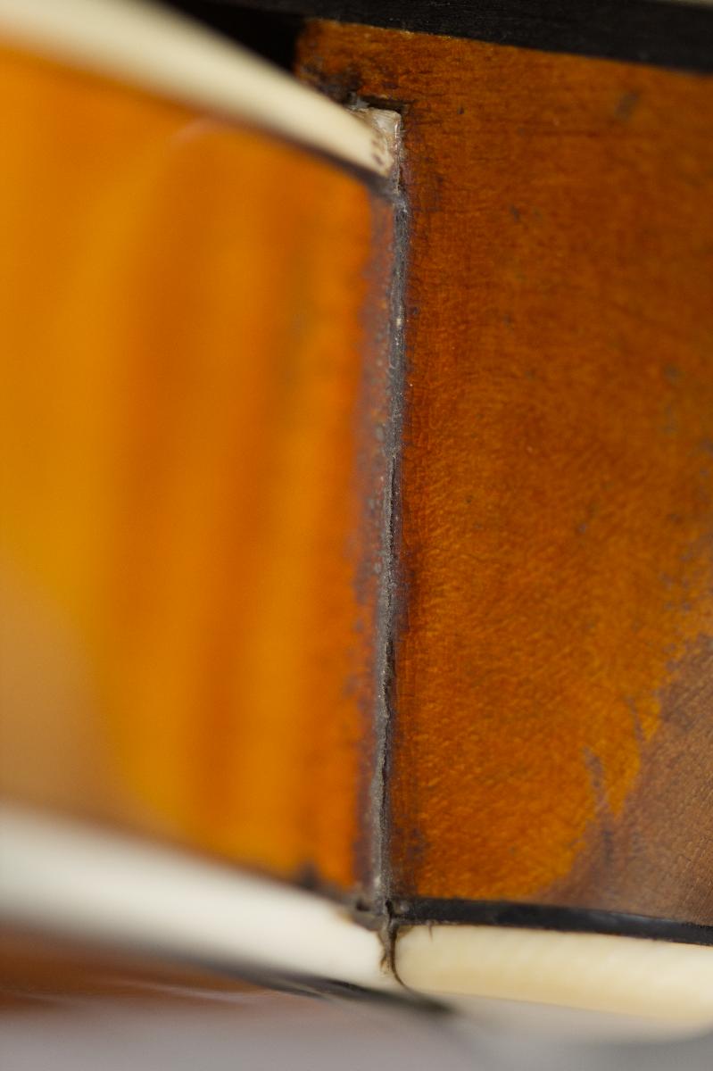 Violine
