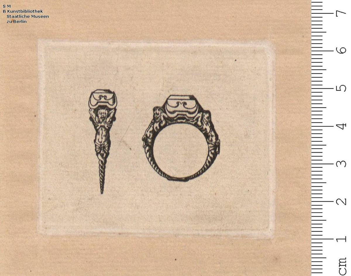 (2) Ringe in Seiten- und Vorderansicht