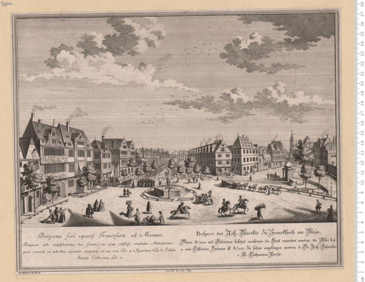 Blatt Nr. 7 aus: Francofurtum Ad Moenum Floridum ...