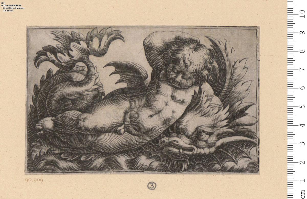 (3) Putten auf delphinähnlichen Seewesen. 4 Bl. (davon 3 Bl. Nachb.)
