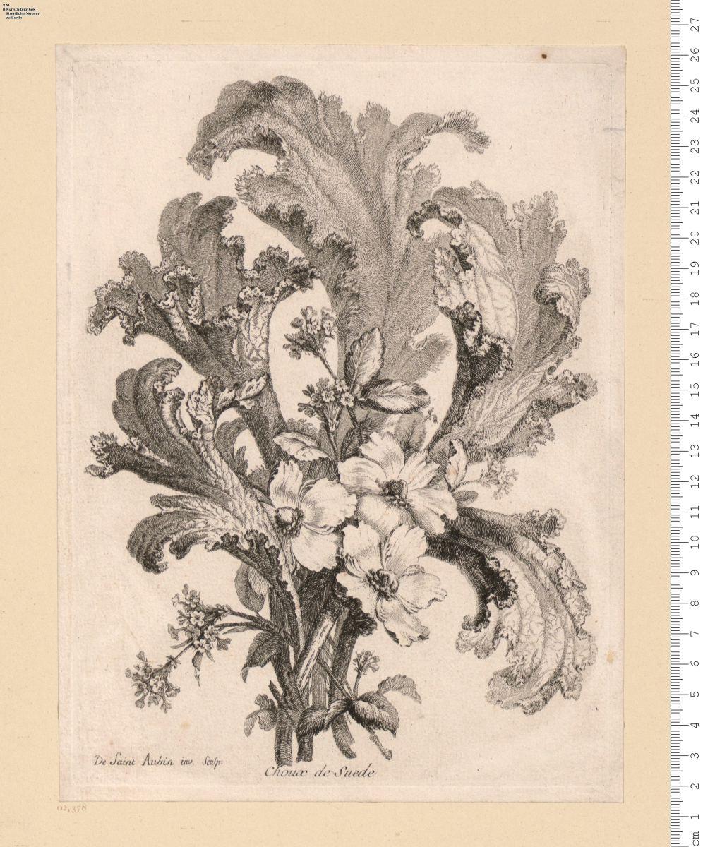 Blumenstrauß mit Unterschrift: Choux de Suede, aus: Mes Petits Bouquets ... Par ... De Saint Aubin.