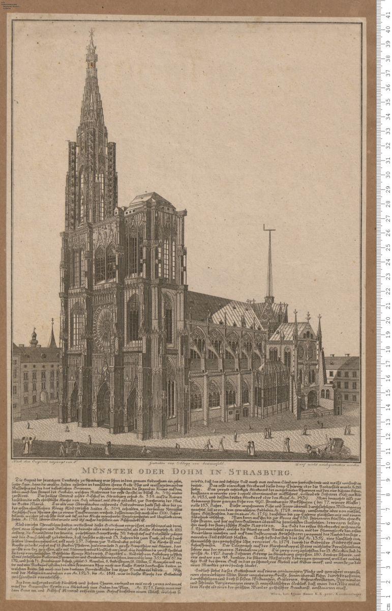 Münster ... zu Strasburg. Wien, bei Ignaz Sauer.