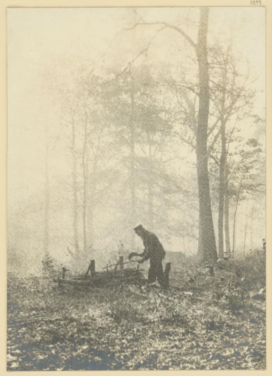 Ohne Titel (Kleinholzmachen im Wald)