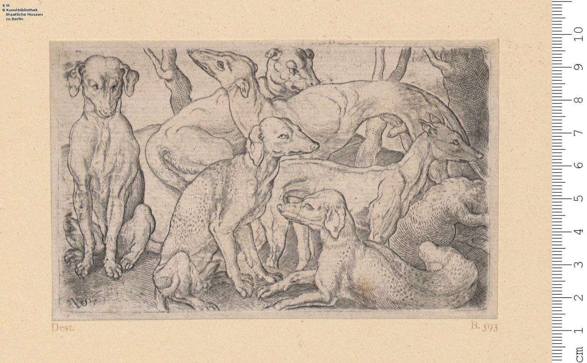(2) Hunde: B. 393.