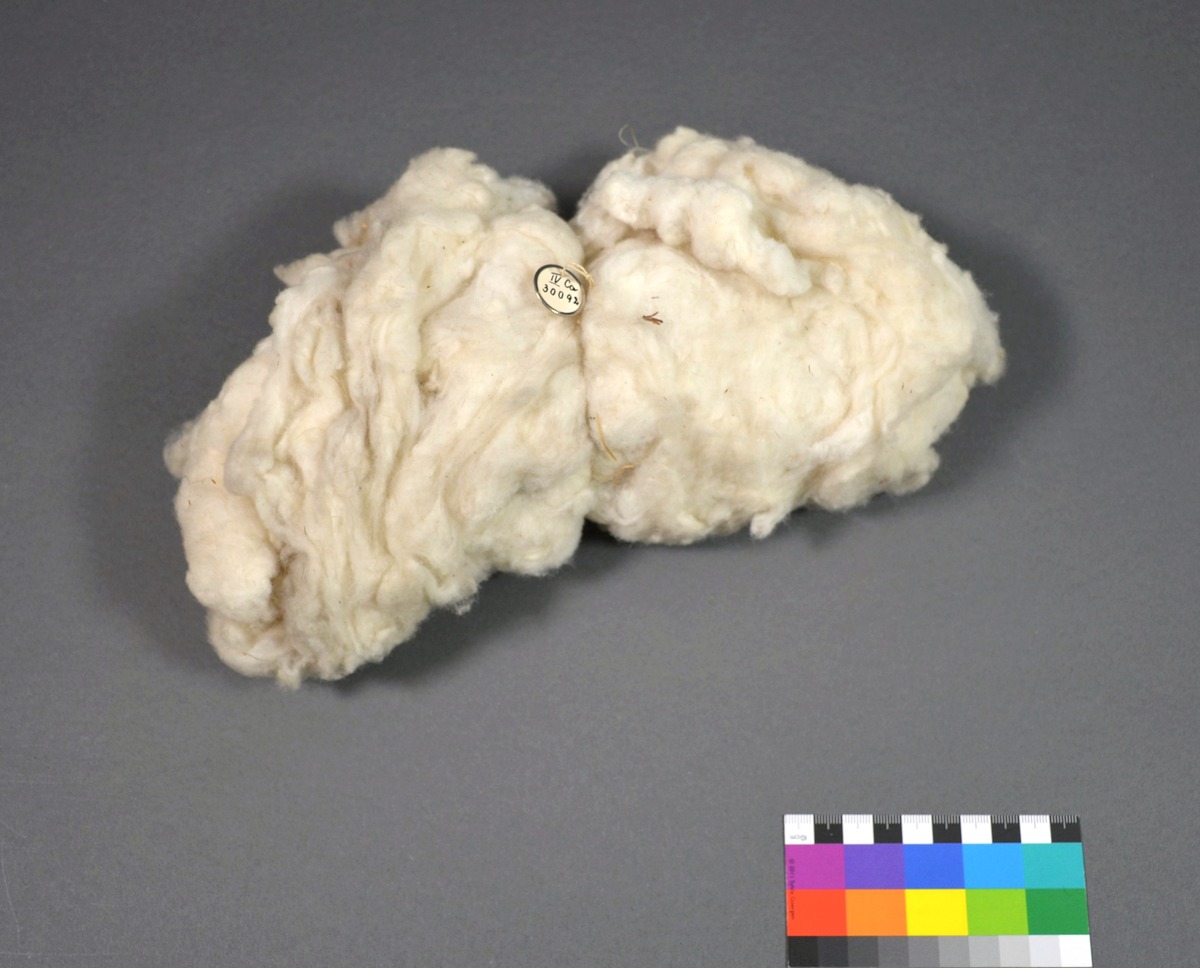 IV Ca 30092