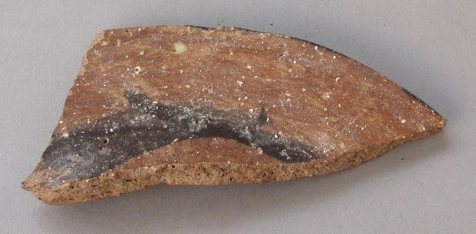 V C 1573 g