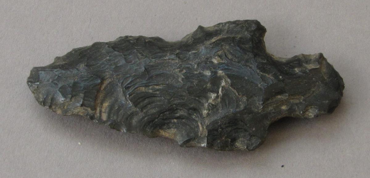 IV Ca 25380